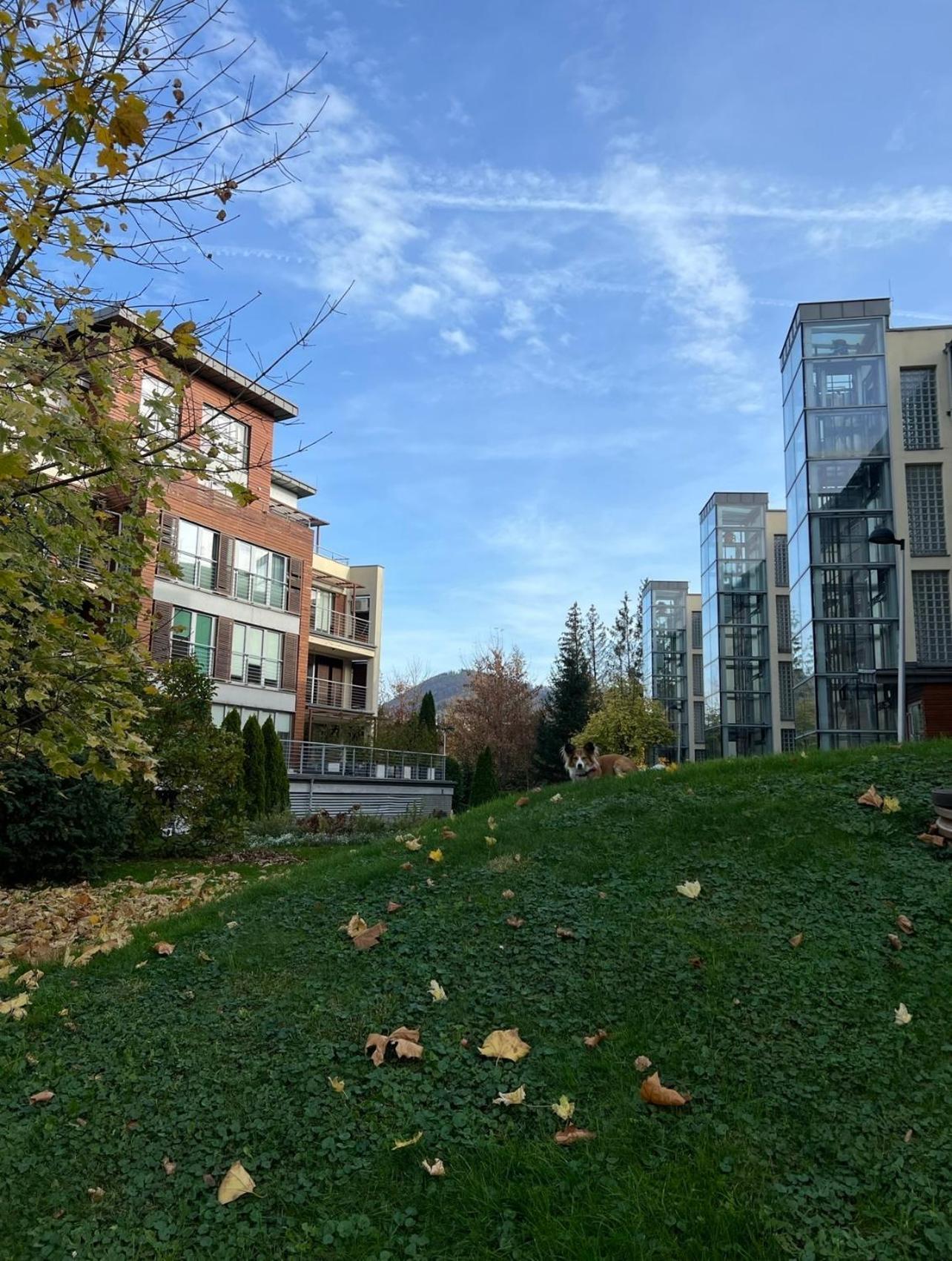 Ustronne Zacisze - Ustron Zdroj Zeta Park Apartment Exterior photo